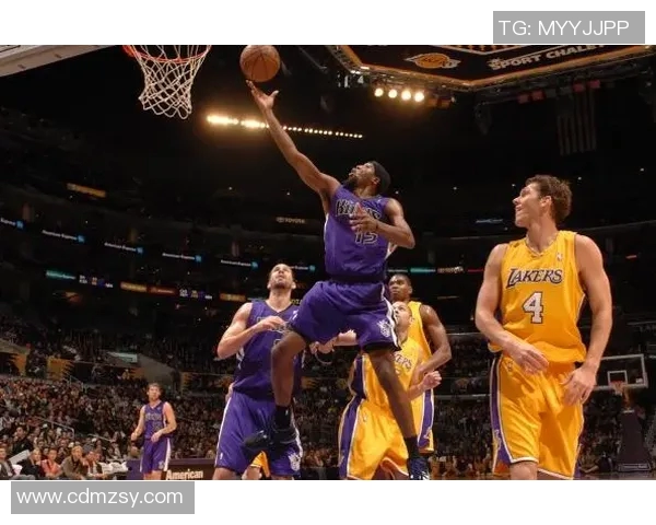 湖人对阵国王精彩全场录像回放分析与精彩瞬间集锦